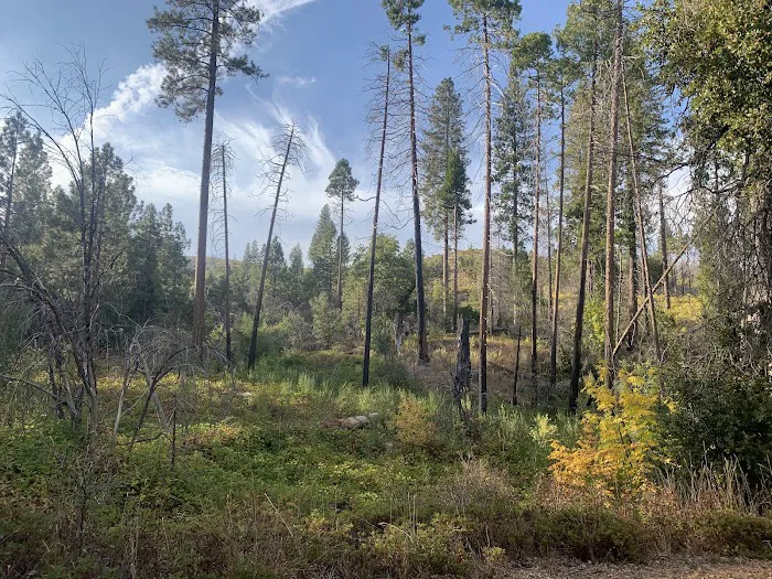 Lost Claim Campground Picture 10