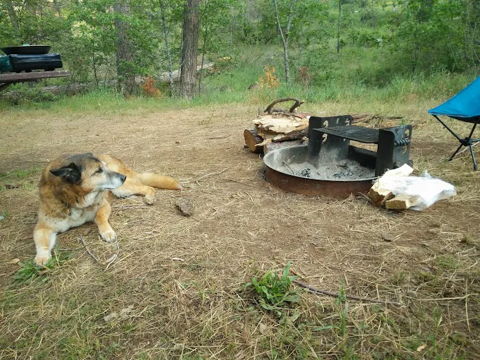 Lost Claim Campground Picture 5