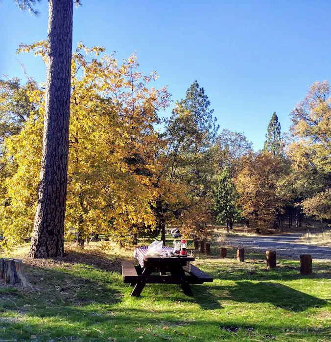 Pines Campground Picture 5