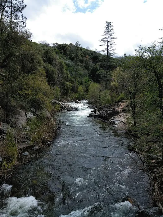 Pines Campground Picture 6