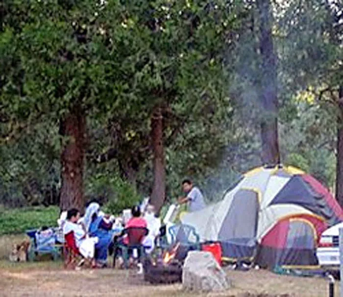 Yosemite Pines RV Resort & Family Lodging Picture 9