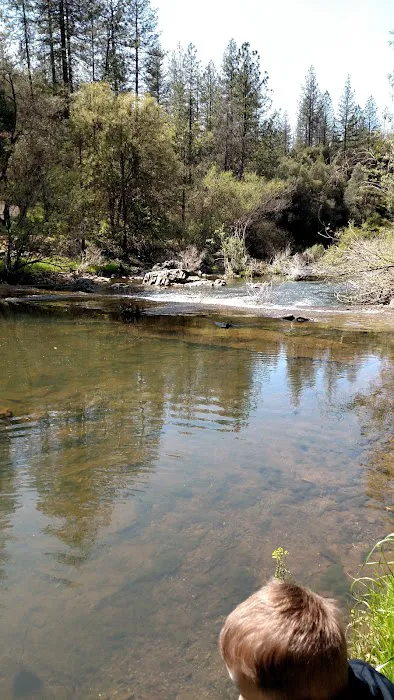 PML Campground Picture 7