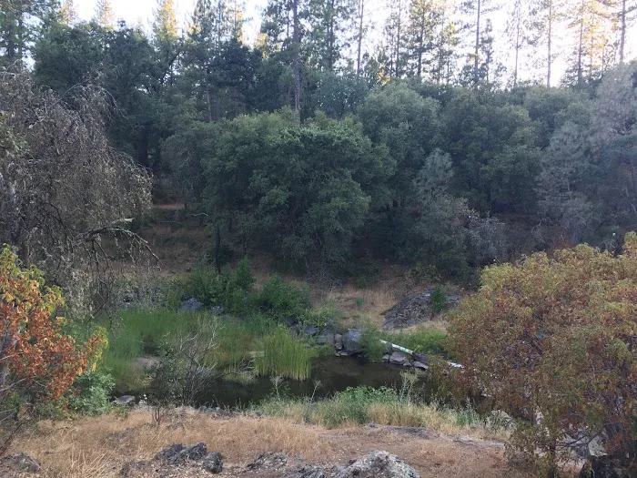 PML Campground Picture 4
