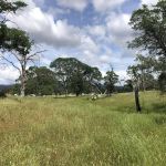 Kingdom Historical Trust Inc (KHTI) event site