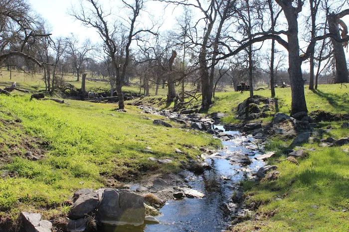 Kingdom Historical Trust Inc (KHTI) event site Picture 7