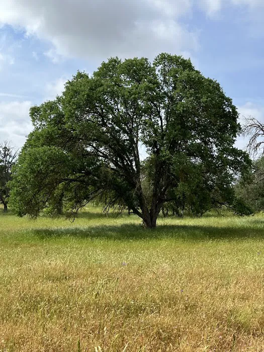 Kingdom Historical Trust Inc (KHTI) event site Picture 5
