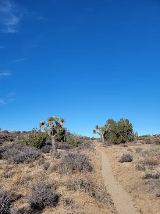 Juniper Flats Backcountry Picture 1