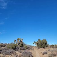 Juniper Flats Backcountry ico