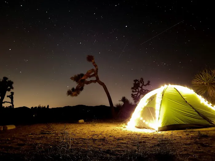 Ryan Campground Picture 7