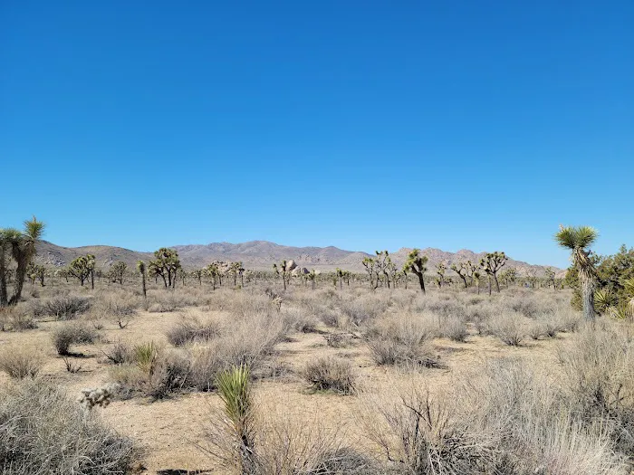 Ryan Campground Picture 9