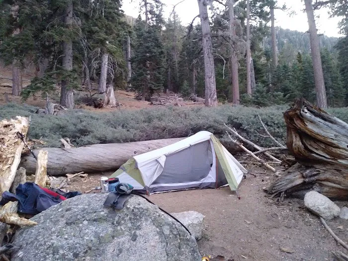 John's Meadow Camp Picture 5