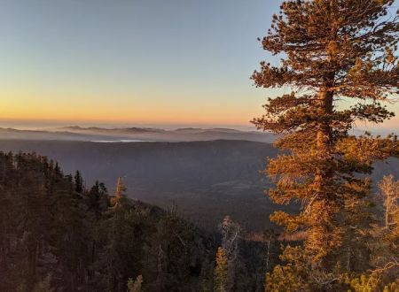 Trail Fork Springs Campground