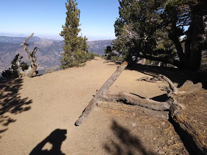 Trail Fork Springs Campground Picture 7