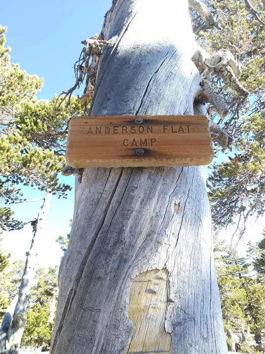 Anderson Flat Campground Picture 1