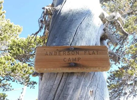 Anderson Flat Campground