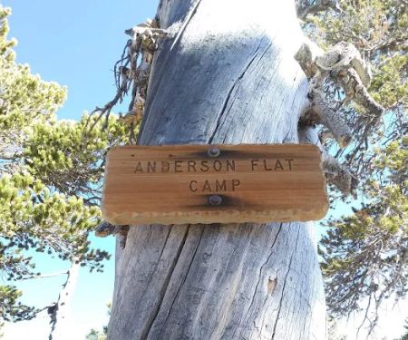 Anderson Flat Campground