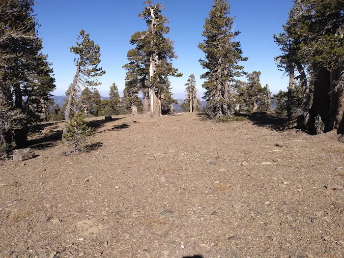 Anderson Flat Campground Picture 2