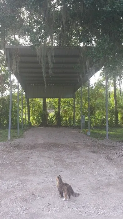 Paradise Lost RV Park Picture 3