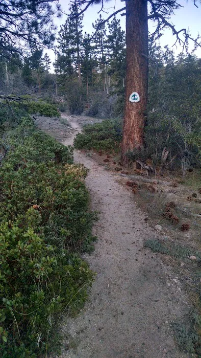 Mission Springs PCT Trail Camp Picture 6