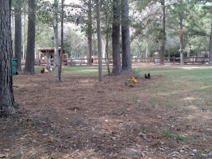 Bentley Ranch RV Park Picture 6