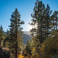 Coon Creek Yellow Post Sites ico
