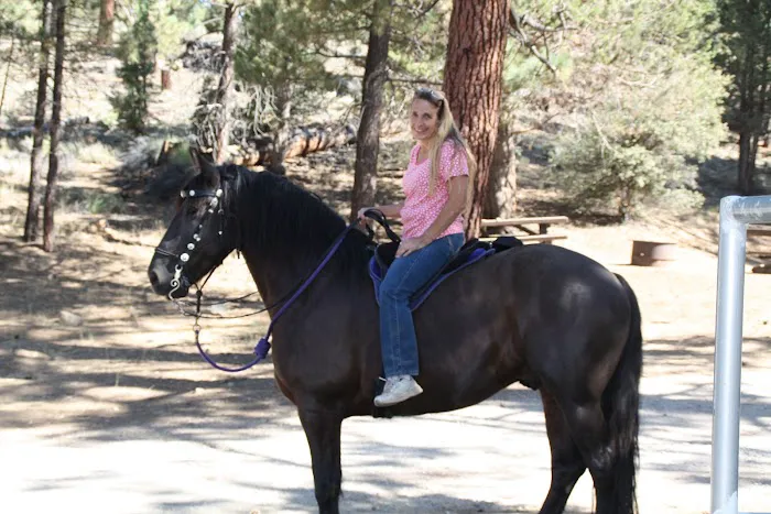 Heart Bar Equestrian Group Campground Picture 7
