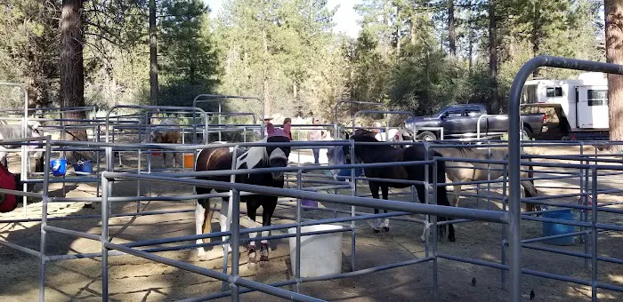 Heart Bar Equestrian Group Campground Picture 2