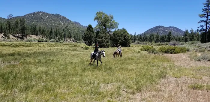 Heart Bar Equestrian Group Campground Picture 3