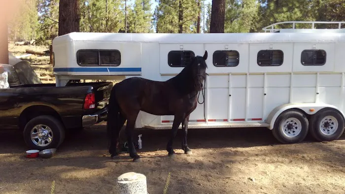 Heart Bar Equestrian Group Campground Picture 6