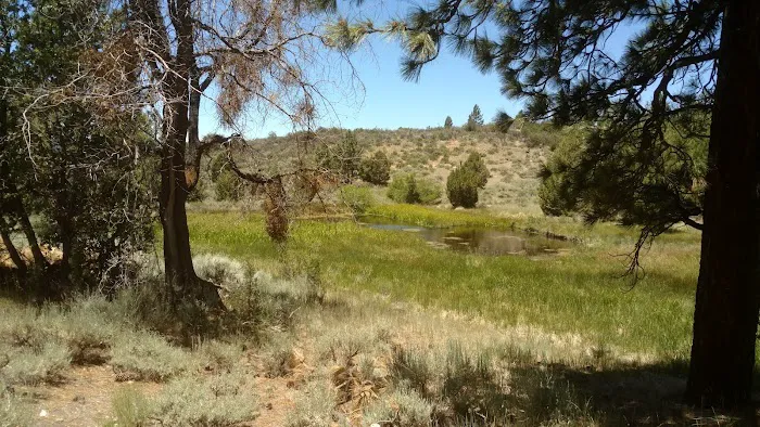 Heart Bar Equestrian Group Campground Picture 10