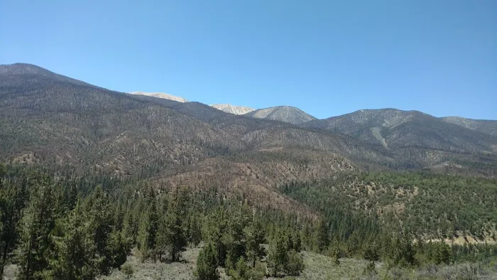 Heart Bar Equestrian Group Campground Picture 9