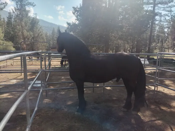 Heart Bar Equestrian Group Campground Picture 5