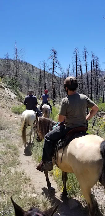Heart Bar Equestrian Group Campground Picture 1