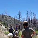 Heart Bar Equestrian Group Campground