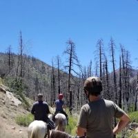 Heart Bar Equestrian Group Campground ico