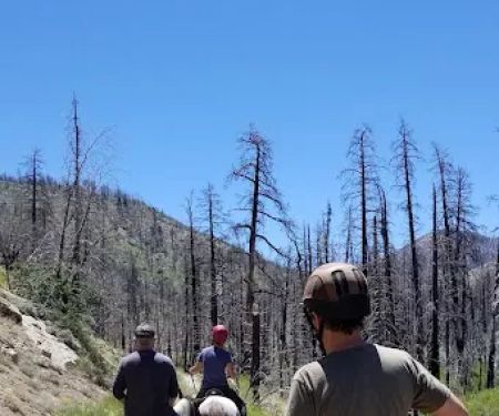Heart Bar Equestrian Group Campground