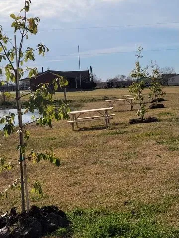Bastrop Bayou RV Park Picture 7