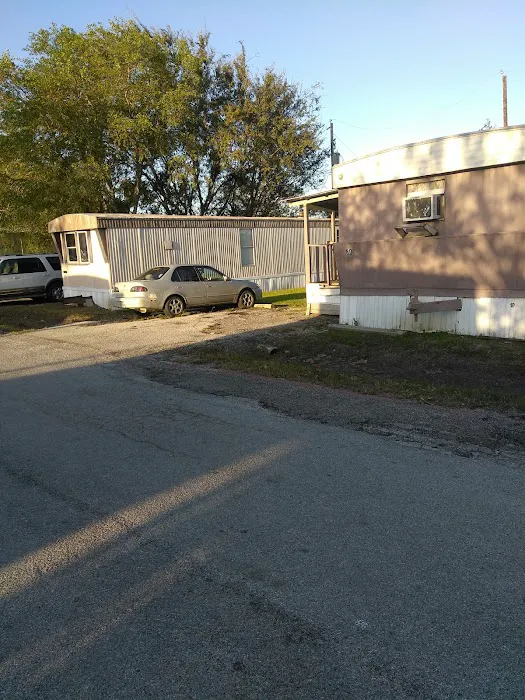 Village at Alvin Picture 9