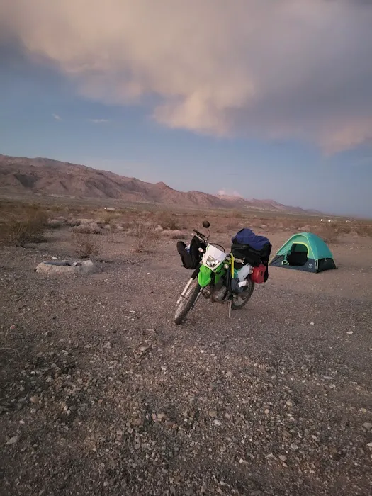 Arty's Camp Picture 1