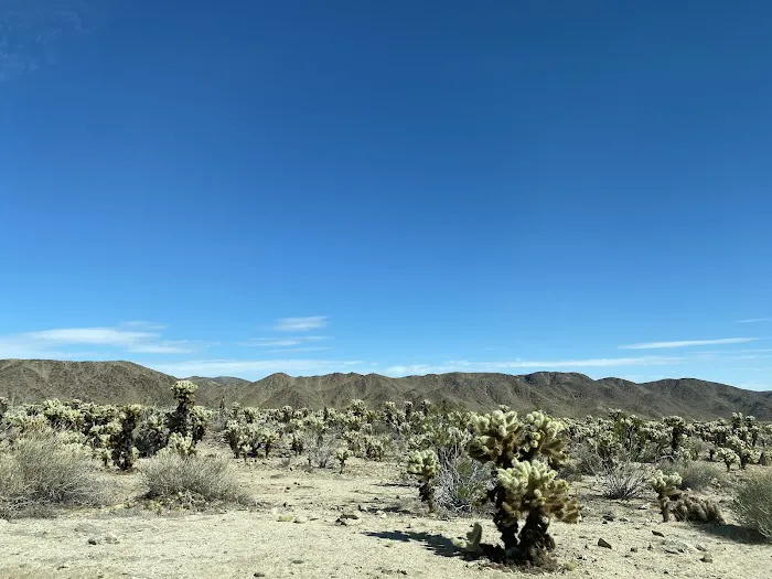 Cottonwood Group Campground Picture 3