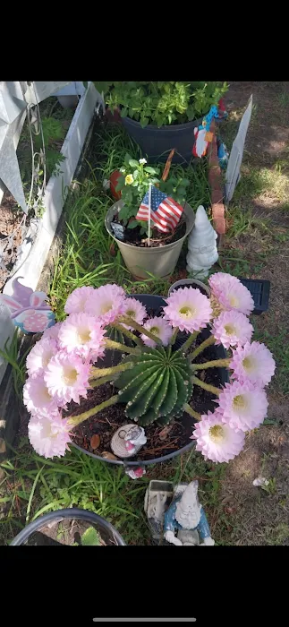 Chaparral RV Park Blessing Picture 2