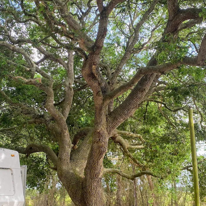 Chaparral RV Park Blessing Picture 9