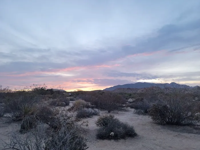 Cottonwood Campground Picture 5