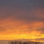 Line Camp RV Park