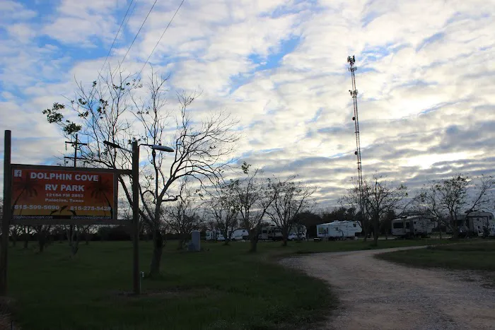 Dolphin Cove RV Park Picture 8