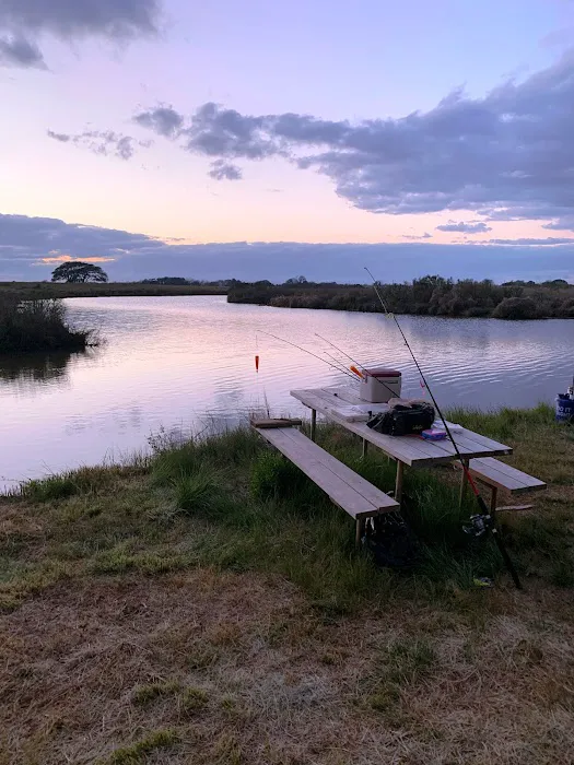 Dolphin Cove RV Park Picture 1