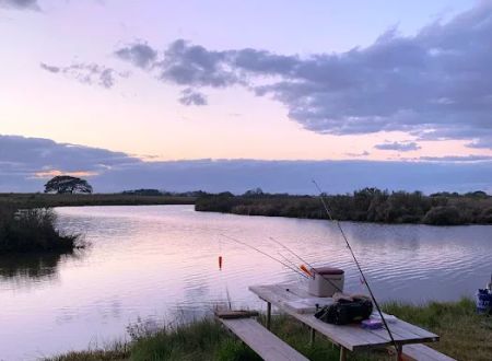 Dolphin Cove RV Park