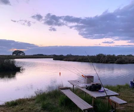 Dolphin Cove RV Park