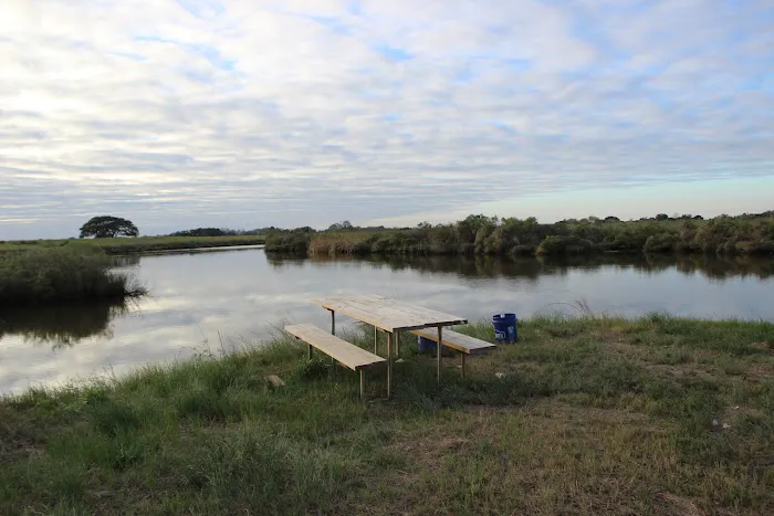 Dolphin Cove RV Park Picture 4