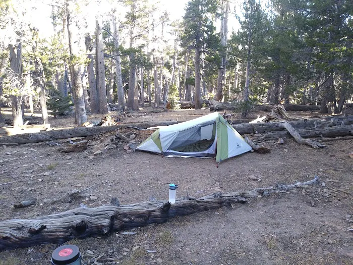 Jackstraw Springs Picture 3